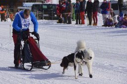 Lenk 2013